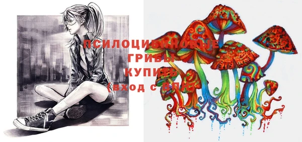 apvp Зерноград