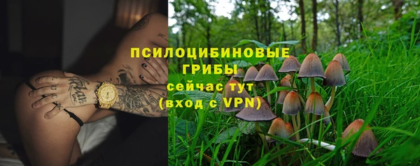 apvp Зерноград