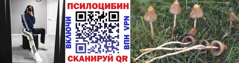 Купить  Карпинск  Галлюциногенные грибы мухоморы 