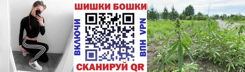 Каннабис MAZAR  Купить  Карпинск 